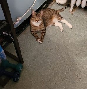 Meet your Posher, Carlos